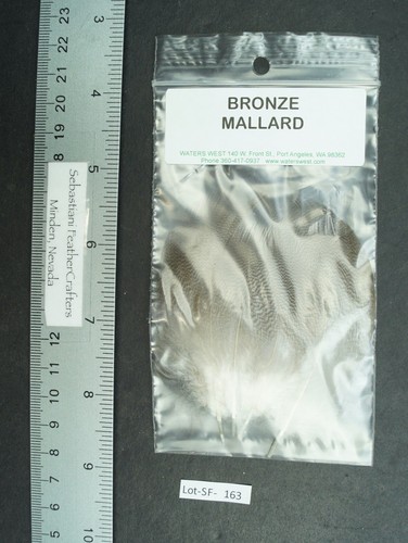 Two pairs water - two, 2.5"/3.25"