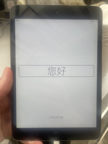 Apple ipad mini - ipad,