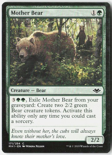 Magic mother bear modern - -,