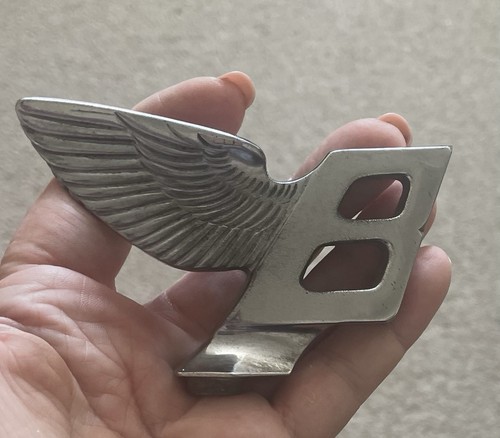 Bentley flying mascot - flying, b
