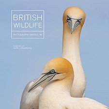 British Wildlife Photography
