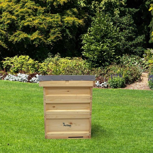National pine beehive starter - beehive,