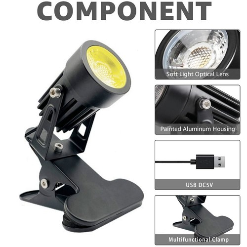 Led spot light accent - spot,