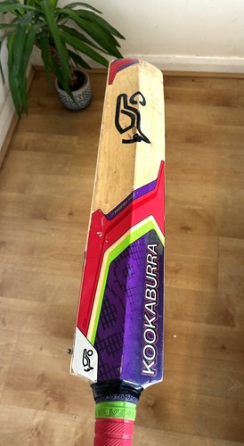 Kookaburra instinct english - kookaburra,