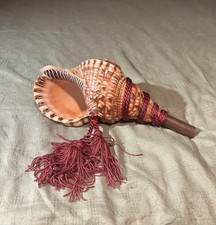  Beautiful Japanese Conch