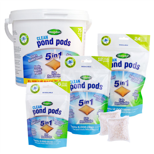 Blagdon clean pond 1 - blagdon,