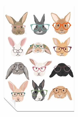 Rabbits framed canvas - rabbits,