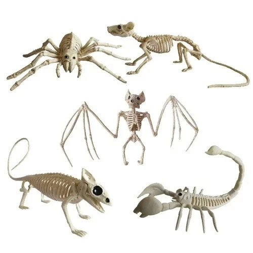 Halloween skeleton wolf frog - skeleton,
