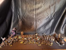 Fully Converted Cities of sigmar Warhammer Age of Sigmar Army