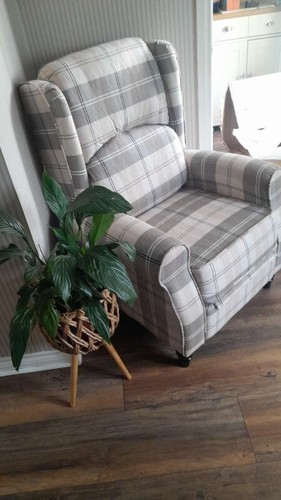 Itzcominghome wing back fabric - wing,