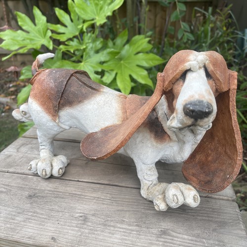 Wellington basset hound - wellington, dog