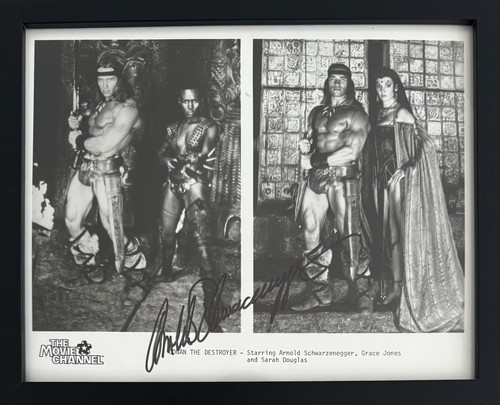 Arnold schwarzenegger actor - arnold, schwarzenegger,