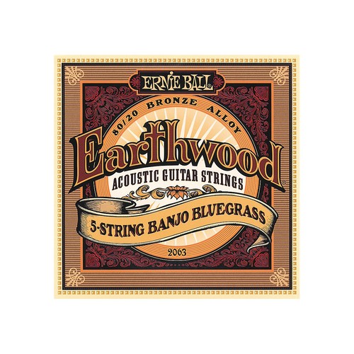 Ernie ball earthwood - ernie,