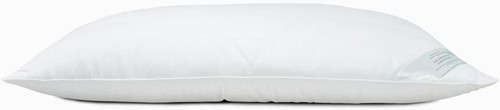 Pillow bamboo cotton - cotton, fill
