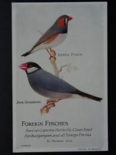 Bird Theme ZEBRA FINCH & JAVA SPARROW c1920s Postcard by Caperns Bird Food