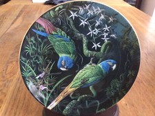 MACAW PLATE - BLUE HEADED MACAWS - FRAGILE PARADISE - WEDGWOOD - PARROT