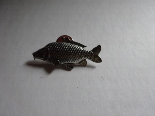 Common carp fish pin - common,