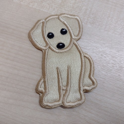 Labrador puppy dog pet - puppy,