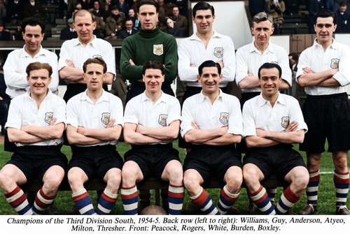 Bristol city football team - bristol,