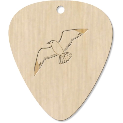Seagull wooden guitar - 'seagull',