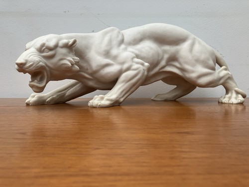 Crouching tiger white - tiger,