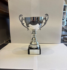 Winner Cup Trophy Award Any Sport 19cm Size *FREE ENGRAVING*