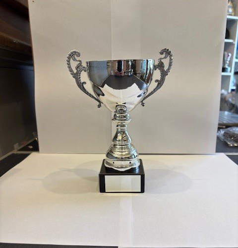 Winner cup trophy award any - cup,