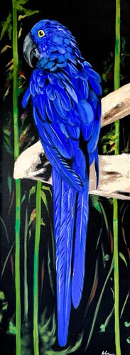 Blue macaw bird acrylic - bird, acrylic,oil