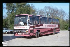 Original Coach Slide - Taylors