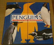 Falkland Islands Native