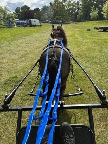 Biothane ladder reins - biothane,