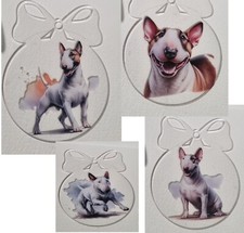English Bull Terrier, Acrylic