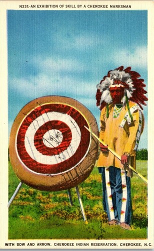 Vintage postcard native - vintage,