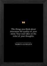 Marcus Aurelius Quote Framed
