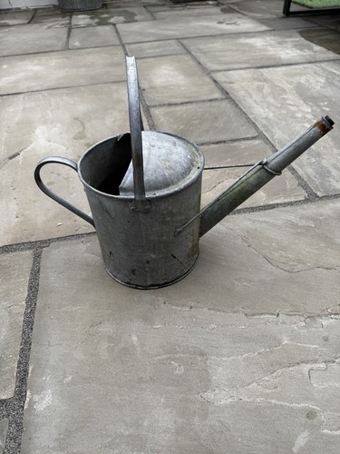 Vintage watering can gallon - 1,