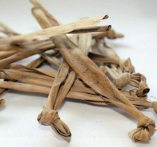 15 Banana Aquarium Leaf Dried