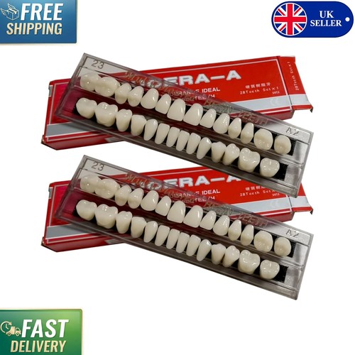 Pcs acrylic false teeth - false,
