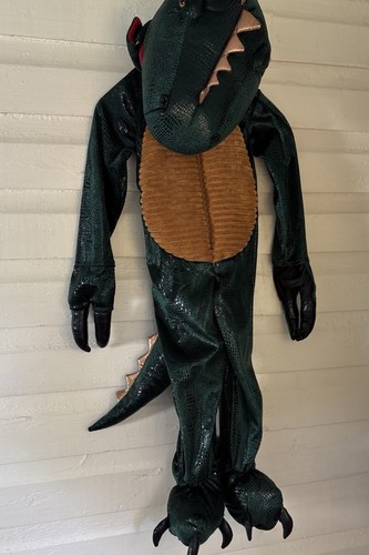 Costume child dream play - costume,
