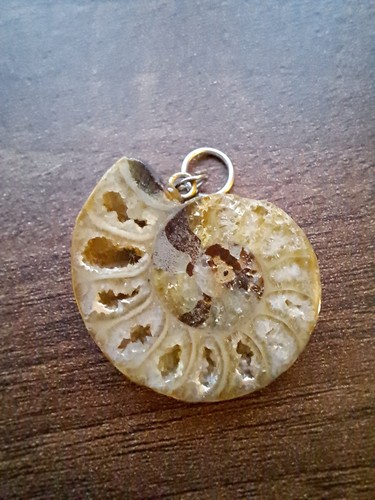Ammonite fossil pendant - ammonite,