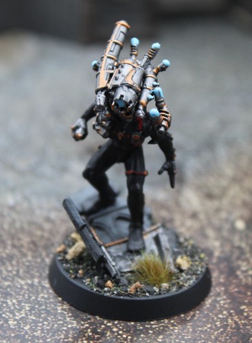 Imperial agents culexus - ,