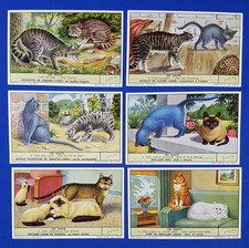 Liebig trade cards CATS Ref