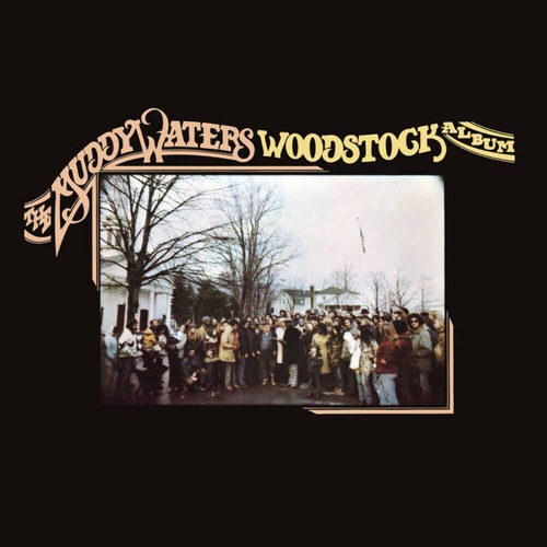 Muddy waters the - waters,