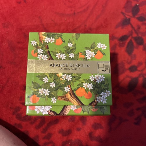 Authentic dolce gabbana - authentic,
