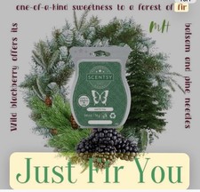 Scentsy Just Fir You Wax Bar