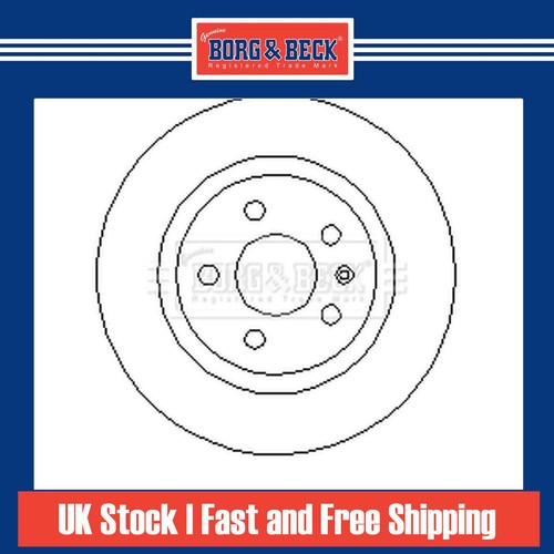 Brake discs pair - discs, for