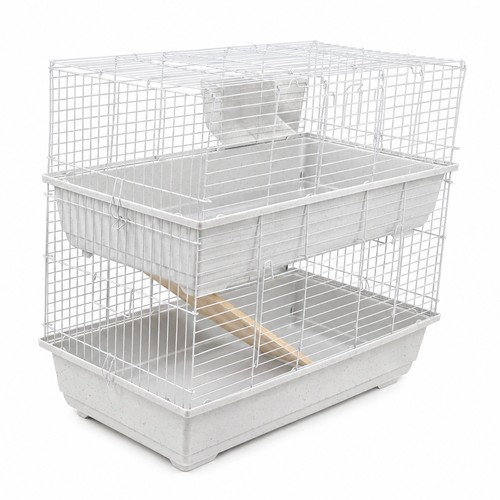 Rabbit guinea pig - rabbit,