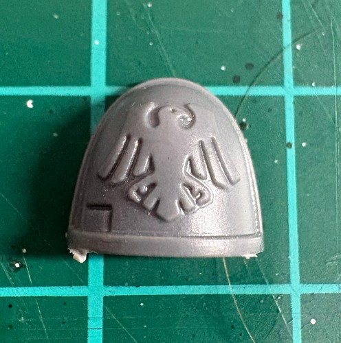 Raven guard veteran - raven,