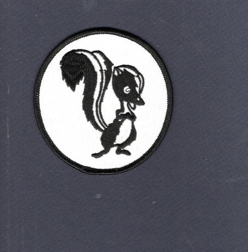 Skunk works lockheed aircraft - skunk,