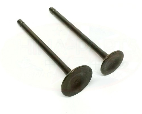 Inlet exhaust valves - exhaust,