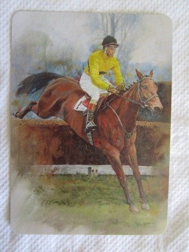 Racehorse swap card modern - racehorse,